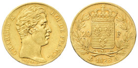 FRANCIA Carlo X di Borbone, Re di Francia e di Navarra, 1824-1830. 20 Franchi 1828 A, zecca di Parigi. Au gr. 6,40 Dr. Testa nuda a d. Rv. Scudo di Fr...