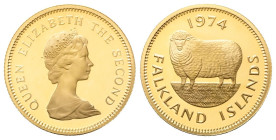 Isole Falkland Elisabetta II, 1952-2022. Sterlina 1974. Au gr. 8,04 Dr. Testa coronata a d. Rv. Pecora Romney verso s. KM#7; Fr. 3. Fondo Specchio