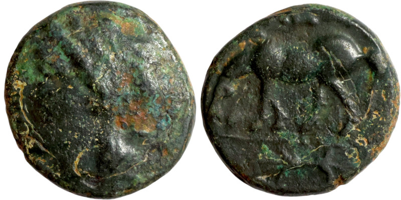 Greek (3rd-1st century BC). AE / 14mm 3,37g