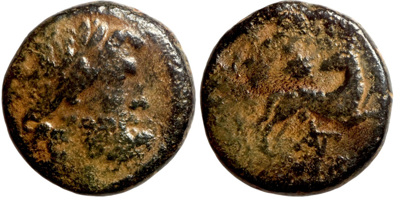 SYRIA. Antioch. Pseudoautonomous (time of Augustus, (ca. 5/6–11/12 AD). AE bronz...