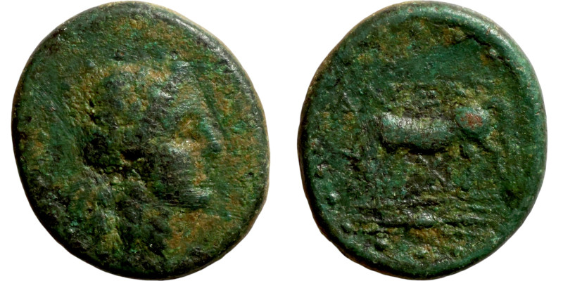 Greek (3rd-1st century BC). AE / 18mm 3,77g