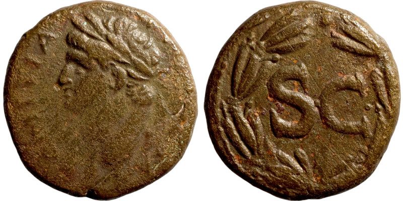 SYRIA. Antioch. Domitian (81-96 AD). AE brone. Obv.: IMP DOMITIANVS CAES AVG; la...