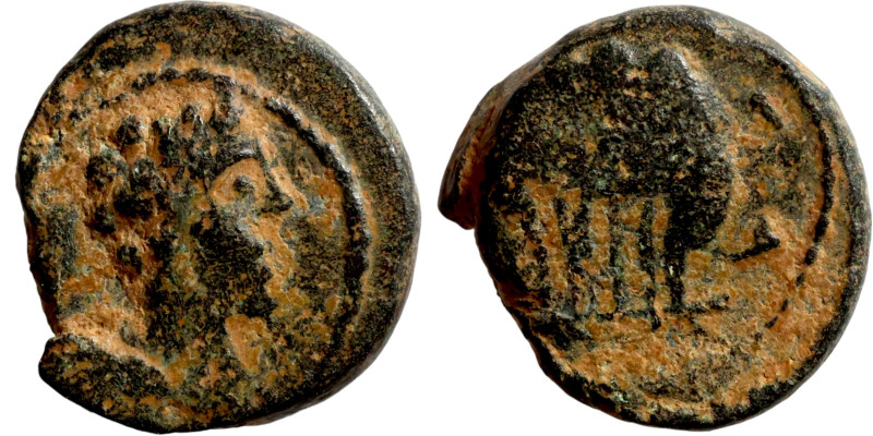 SYRIA. Antioch ?. Pseudoautonomous (1st-3rd century AD). AE bronze / 10mm 1,27g