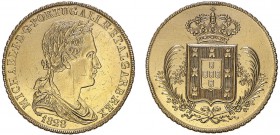 Portugal - D. Miguel I (1828-1834) - Peça 1828

Gold - Peça 1828, cleaned, G.15.01, JS Mi.1, Very Fine