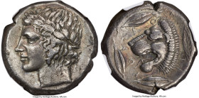 SICILY. Leontini. Ca. 450-420 BC. AR tetradrachm (24mm, 16.78 gm, 8h). NGC Choice VF 5/5 - 3/5, Fine Style, scuffs. Laureate head of Apollo left / LEO...