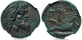 CIMMERIAN BOSPORUS. Panticapaeum. Ca. 4th century BC. AE (21mm, 7.60 gm, 11h). NGC Choice AU 5/5 - 4/5, Fine Style. Head of bearded Pan right / Π-A-N,...