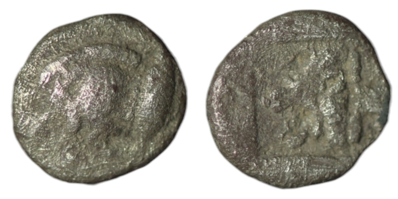 MYSIA. Kyzikos. (450-400 BC)
AR Hemiobol (6mm, 0,27)