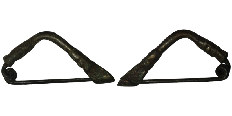 Ancient fibula
(45mm, 6,47g)