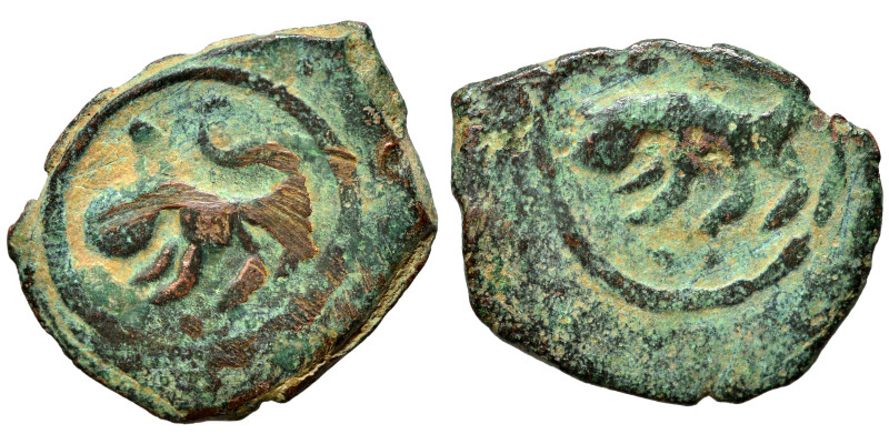 Islamic. Fals (bronze, 2.28 g, 18 mm). Nearly very fine.