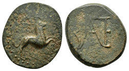 KINGS of BOSPOROS. Polemo I (Circa 14-9BC). Ae.

EX BIGA.

Condition : The coin is in worn condition, with significant surface wear that obscures ...