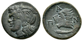 CIMMERIAN BOSPOROS. Pantikapaion.(Circa 310-303 BC).Ae.

Obv : Wreathed head of Pan left.

Rev : ΠAN.
Lion's head left; sturgeon left.
MacDonald...