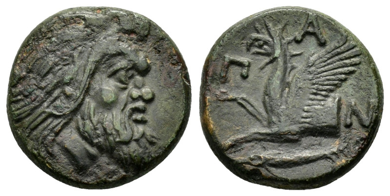 CIMMERIAN BOSPOROS. Pantikapaion.(Circa 340-325 BC).Ae.

Obv : Head of Pan rig...