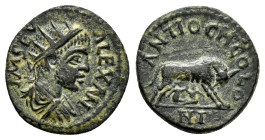 PISIDIA.Antioch.Severus Alexander.(222-235).Ae.

Obv : IM SEV ALEXAN.
Radiate, draped and cuirassed bust right.

Rev : ANTIOCH COL ONI.
She-wolf...