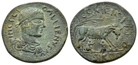 LYCAONIA.Iconium.Gallienus.(253-268).Ae.

Obv : IMP C P LI GALLIENVS AV.
Diademed, draped and cuirassed bust right.

Rev : ICONIENSIVM COL, S R....