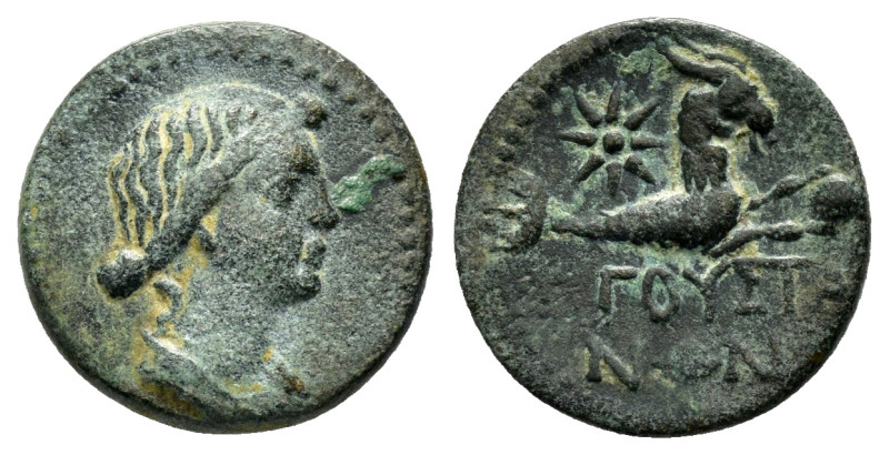 CILICIA. Augusta. Livia.(14-29). Ae.

Obv : Draped bust right.

Rev : AVΓOVC...