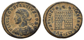 CONSTANTINE II.(Caesar, 316-337).Siscia.Follis.

Obv : FL IVL CONSTANTIVS NOB C.
Bust of Constantius II, laureate, draped, cuirassed, left.

Rev ...