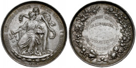 Medal nagrodowy autorstwa L. Steinamana wybity przed 1895 rokiem z okazji Wystawy Ogrodniczej w Warszawie.