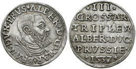 Prusy Książęce, Albrecht Hohenzollern 1525-1568, Trojak 1537, Królewiec.