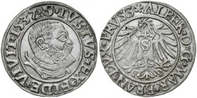 Prusy Książęce, Albrecht Hohenzollern 1525-1568, Grosz 1537, Królewiec.