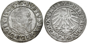 Prusy Książęce, Albrecht Hohenzollern 1525-1568, Grosz 1546, Królewiec.