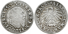 Prusy Książęce, Albrecht Hohenzollern 1525-1568, Grosz 1550, Królewiec.