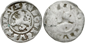 Czechy, Ludwik Jagiellończyk 1516-1526, Bily peniz bez daty, jednostronny, Av.: Lew.