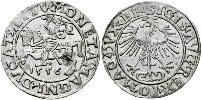 Zygmunt II August 1545-1572, Półgrosz 1556, Wilno. Kop. 3248, Gum. 598, połysk z...