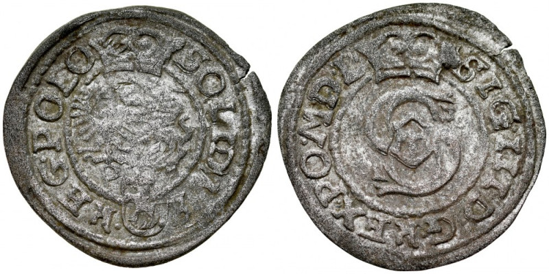 Zygmunt III 1587-1632, Szeląg bez daty P, Poznań. RR Kop. 590 R5, Gum. 909, Tysz...