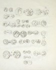 The Knobelsdorf Collection