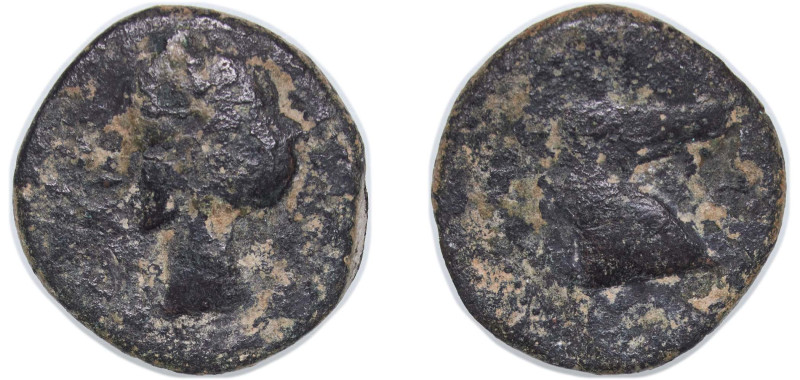 Greece (ancient) Carthaginian Empire Punic Iberia 220 BC - 215 BC AE Calco (Cart...