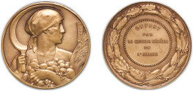 France Republic ND Medal - Conseil général de L'Allier Bronze 52.92g UNC