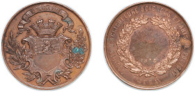 France Third Republic 1875 Medal - Société d'agriculture sciences et arts de Poligny Bronze 43.02g AU