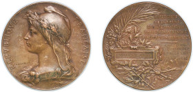 France Third Republic 1912 Medal - Prefecture de Seine service des alienes ecole departementale d'infirmieres et d'infirmieres Bronze 54.75g AU