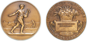 France Third Republic ND Medal - Ministère de l'agriculture Bronze 61.66g UNC