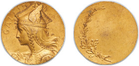 France Third Republic ND Medal - Pierre-Alexandre Morlon, Gallia Bronze gilded 30.8g AU