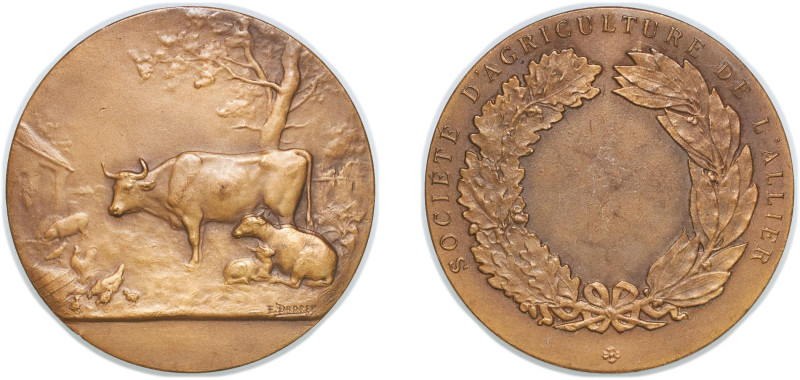 France Third Republic ND Medal - Société D'Agriculture de L'Allier Bronze 62.85g...