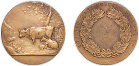 France Third Republic ND Medal - Société D'Agriculture de L'Allier Bronze 62.85g UNC