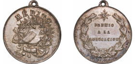 Spain ND Medal - Premio a la Aplicación Silver 14.19g AU
