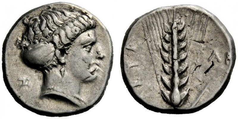 GREEK COINAGE 
 Metapontum 
 Nomos circa 400-340 BC, AR 7.83 g. Head of Demete...