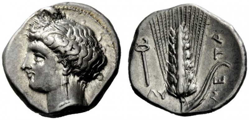 GREEK COINAGE 
 Metapontum 
 Nomos circa 340-330 BC, AR 7.83 g. Head of Demete...