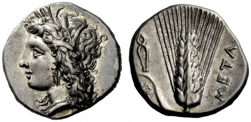 GREEK COINAGE 
 Metapontum 
 Nomos circa 330-290 BC, AR 7.86 g. Barley-wreathe...
