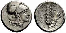 GREEK COINAGE 
 Metapontum 
 Nomos circa 330-290 BC, AR 7.74 g. Head of Athena r., wearing Corinthian helmet. Rev. Barley ear; in r. field, owl. Joh...