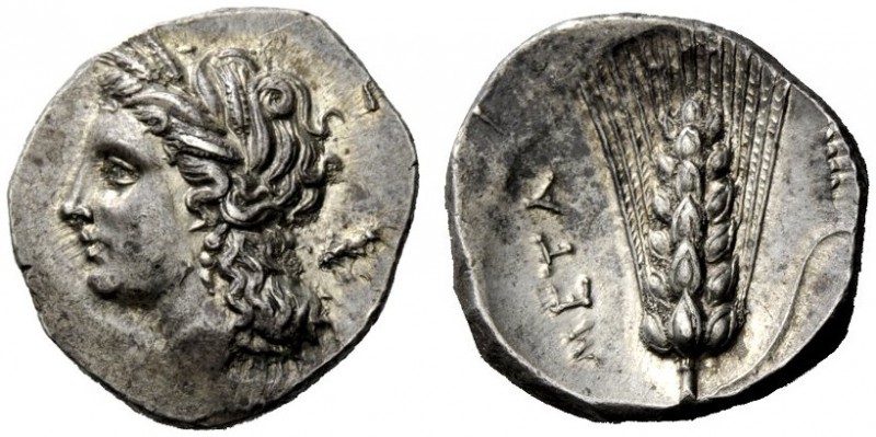 GREEK COINAGE 
 Metapontum 
 Nomos circa 290-280 BC, AR 7.90 g. Barley-wreathe...