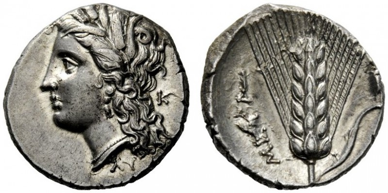 GREEK COINAGE 
 Metapontum 
 Nomos circa 290-280 BC, AR 7.87 g. Barley-wreathe...