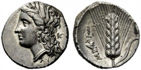 GREEK COINAGE 
 Metapontum 
 Nomos circa 290-280 BC, AR 7.87 g. Barley-wreathed head of Demeter l. Rev. Barley ear; in r. field, spindle. Johnston c...