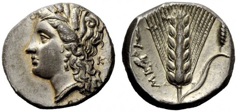 GREEK COINAGE 
 Metapontum 
 Nomos circa 290-280, BC, AR 7.74 g. Barley-wreath...