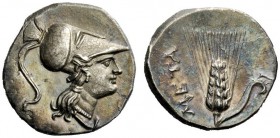 GREEK COINAGE 
 Metapontum 
 Time of Hannibal. Half shekel circa 215-207 BC, AR 3.69 g. Head of Athena r., wearing Corinthian helmet. Rev. Barley ea...