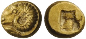 GREEK COINAGE 
 Phocaea 
 Hecte circa 625-522 BC, EL 2.56 g. Head of ram l.; below, seal l. Rev. Incuse punch. Bodenstedt 8a.
 Rare. Struck on a na...