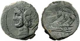 AN INTERESTING COLLECTION OF ROMAN REPUBLICAN COINS FORMED BY AN ENGLISH AMATEUR SCHOLAR 
 C. Vibius C.f. Pansa . As 90, Æ 12.07 g. Laureate head of ...