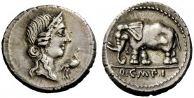 ROMAN REPUBLICAN COINAGE 
 Q. Caecilius Metellus Pius. Denarius 81, AR 4.05 g. Head of Pietas r.; before, stork. Rev. Elephant l.; in exergue, Q C M ...